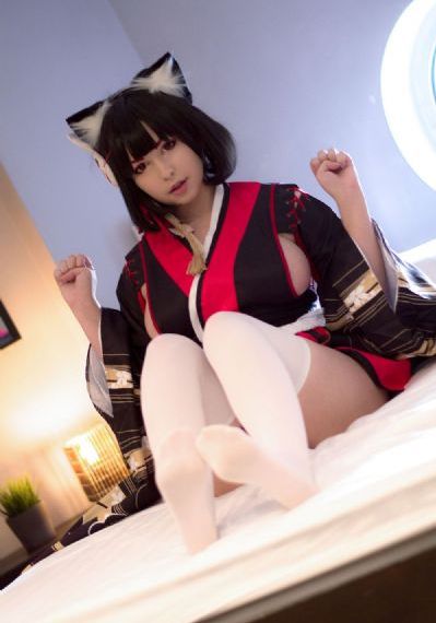 男女草比视频