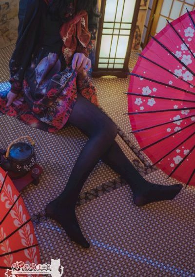 细狗视频免费版网页版怎么打开