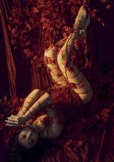 乔家的儿女电视剧