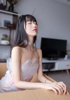 龙珠传奇第二部