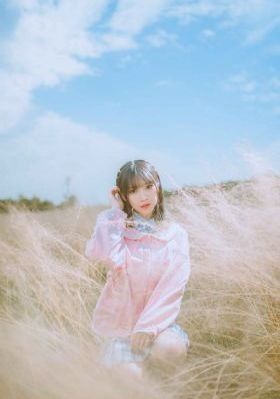 纵横天下 电视剧