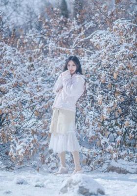 龙珠超第二季在线播放免费