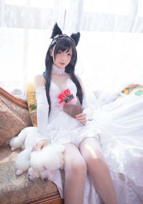 藏海花电视剧免费